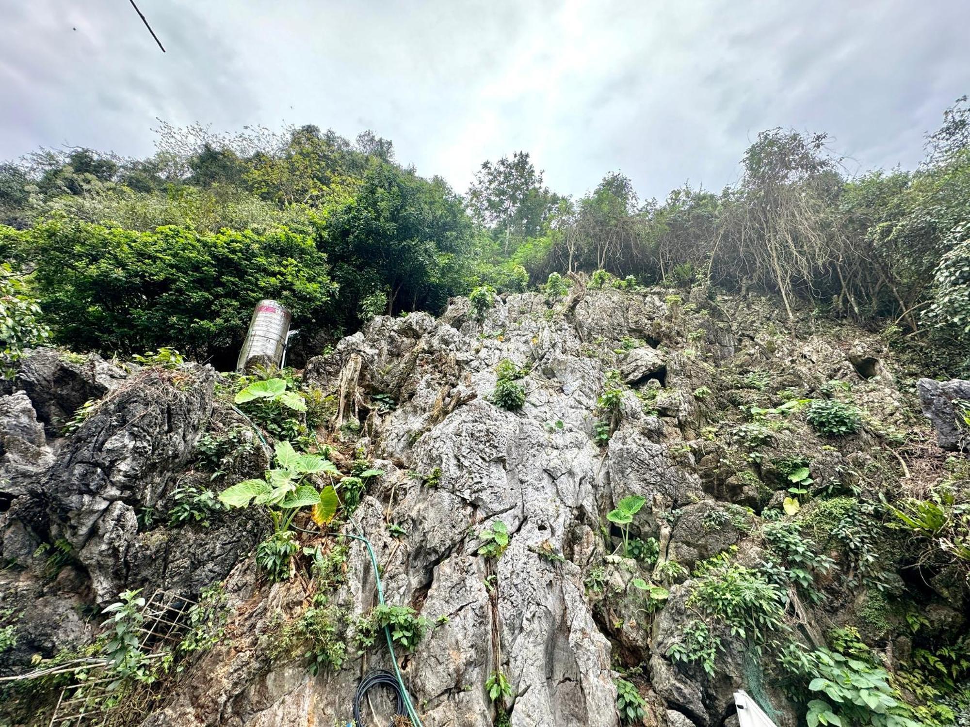 Strawberry House , Tour & Motorbikes Rentel Bed & Breakfast Ha Giang Exterior photo